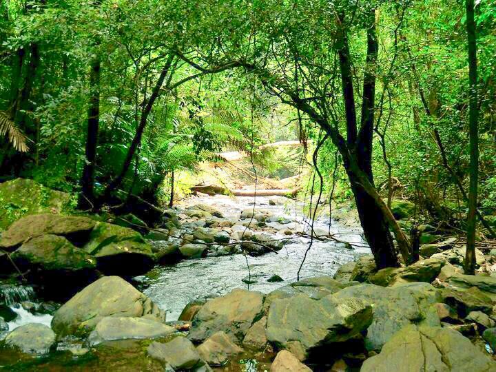 Photo of The Magical "Netravali" #offbeatgoa by Sagar Gurav