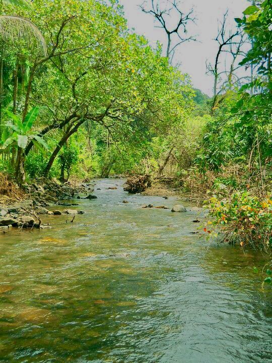 Photo of The Magical "Netravali" #offbeatgoa by Sagar Gurav