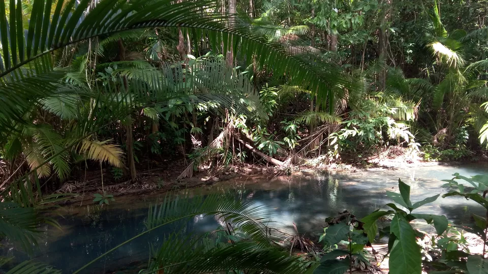 Photo of Hot Stream Krabi, Khlong Thom Nuea, Khlong Thom District, Krabi, Thailand by Sagar Gurav