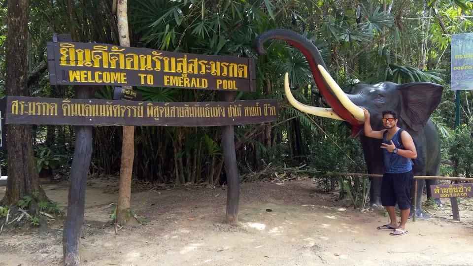 Photo of Emerald Pool, Khlong Thom Nuea, Khlong Thom District, Krabi, Thailand by Sagar Gurav