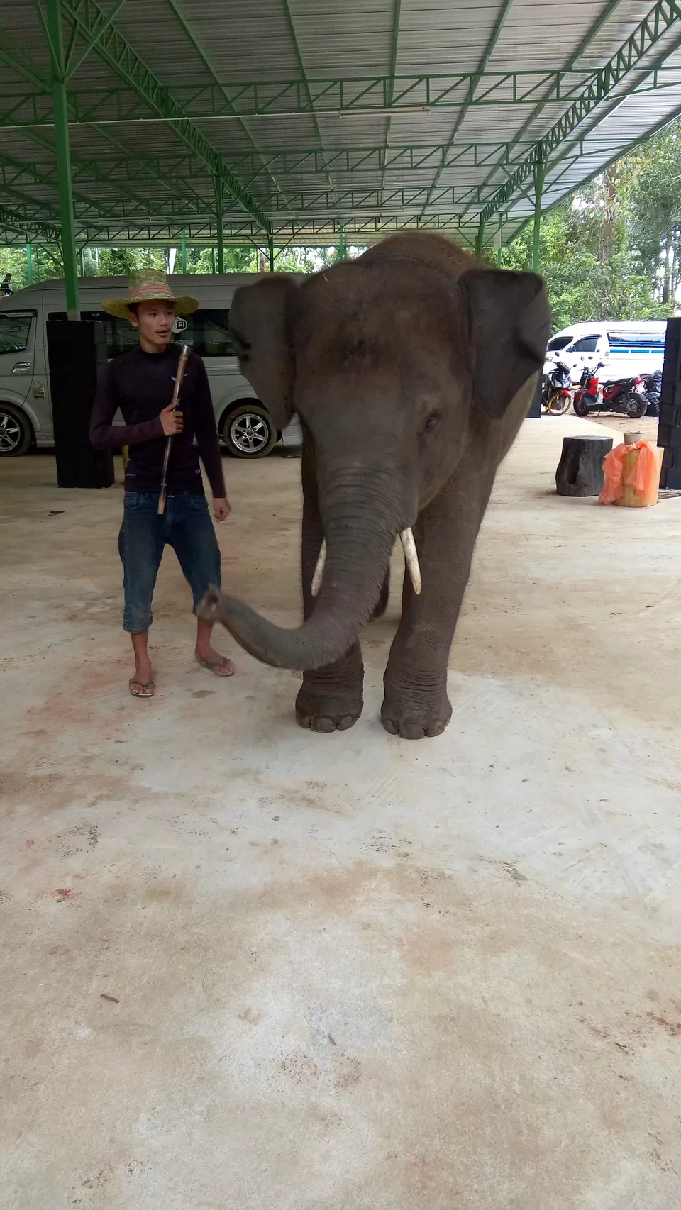 Photo of Ao Nang Safari and Trekking Tour, Ao Nang, Mueang Krabi District, Krabi, Thailand by Sagar Gurav