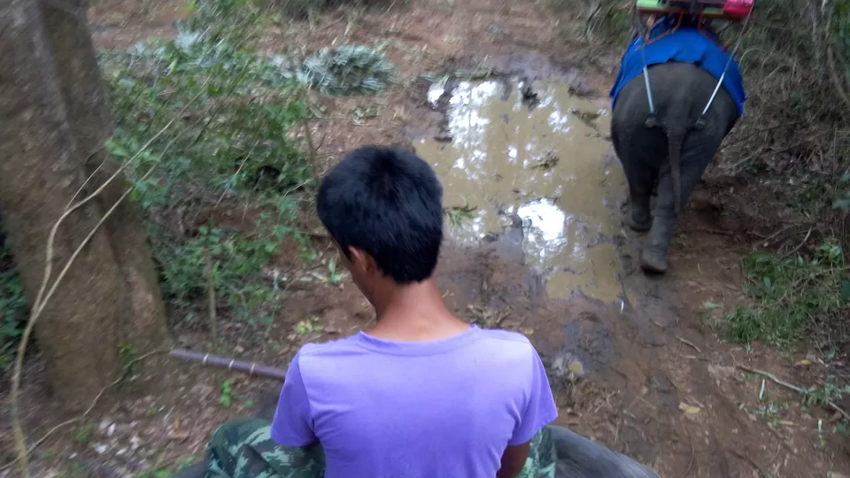 Photo of Ao Nang Safari and Trekking Tour, Ao Nang, Mueang Krabi District, Krabi, Thailand by Sagar Gurav