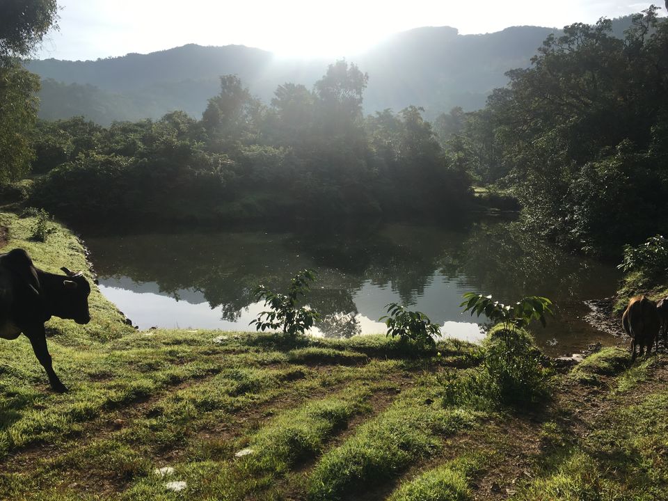 Photo of Sonavade Tarf Kalsuli, Maharashtra, India by Sagar Gurav