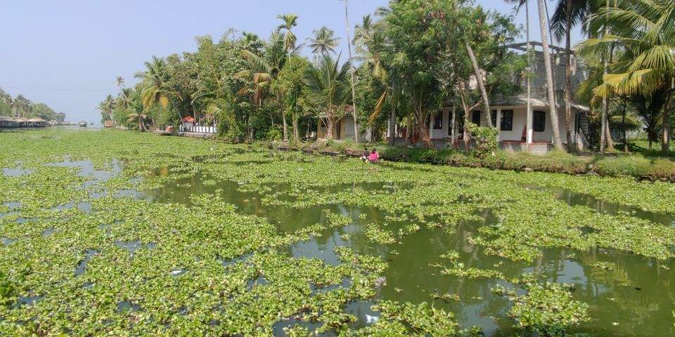 Photo of Kerala-Heavenly abode by Tamsil Hussain
