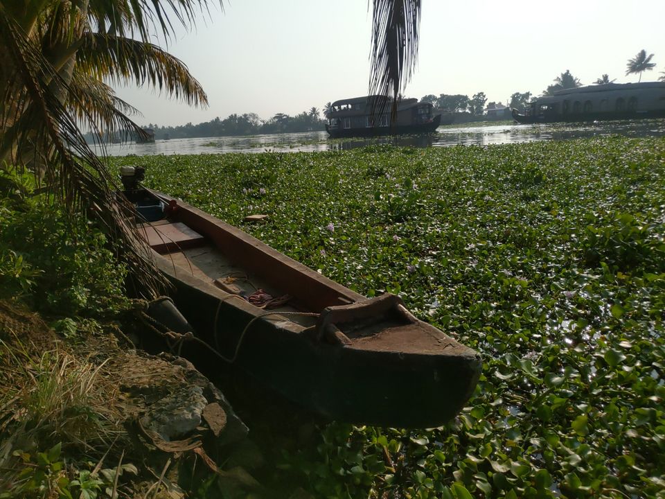 Photo of Kerala-Heavenly abode by Tamsil Hussain