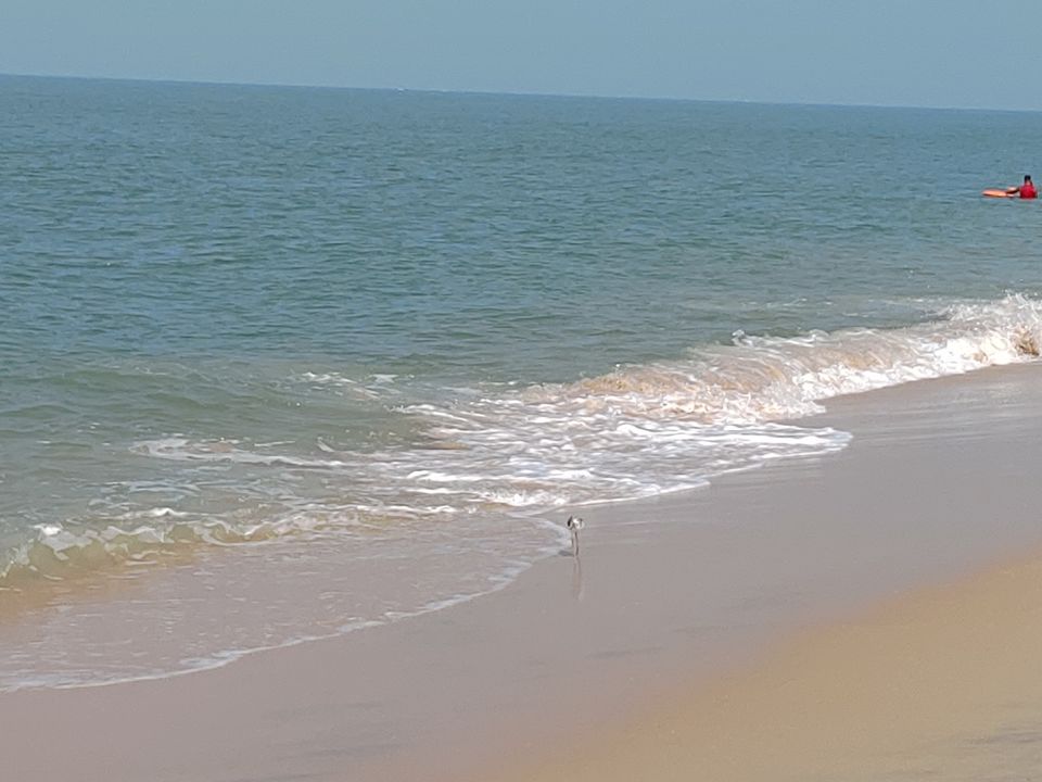 Photo of Kerala-Heavenly abode by Tamsil Hussain