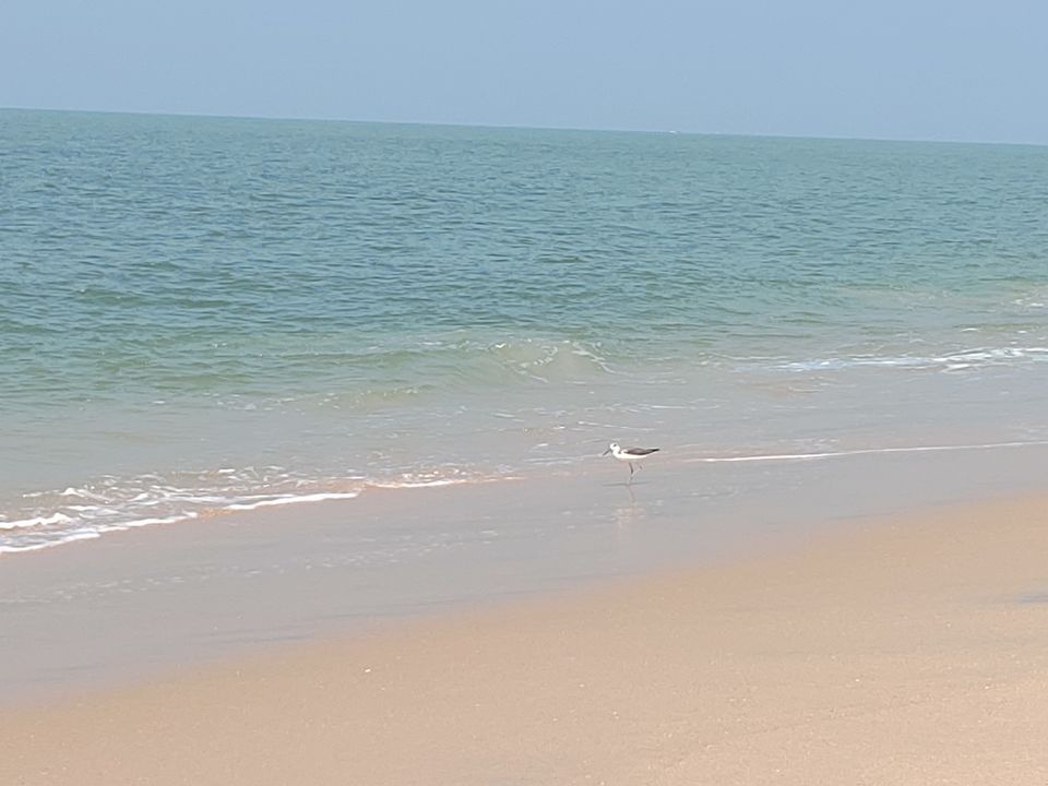 Photo of Kerala-Heavenly abode by Tamsil Hussain