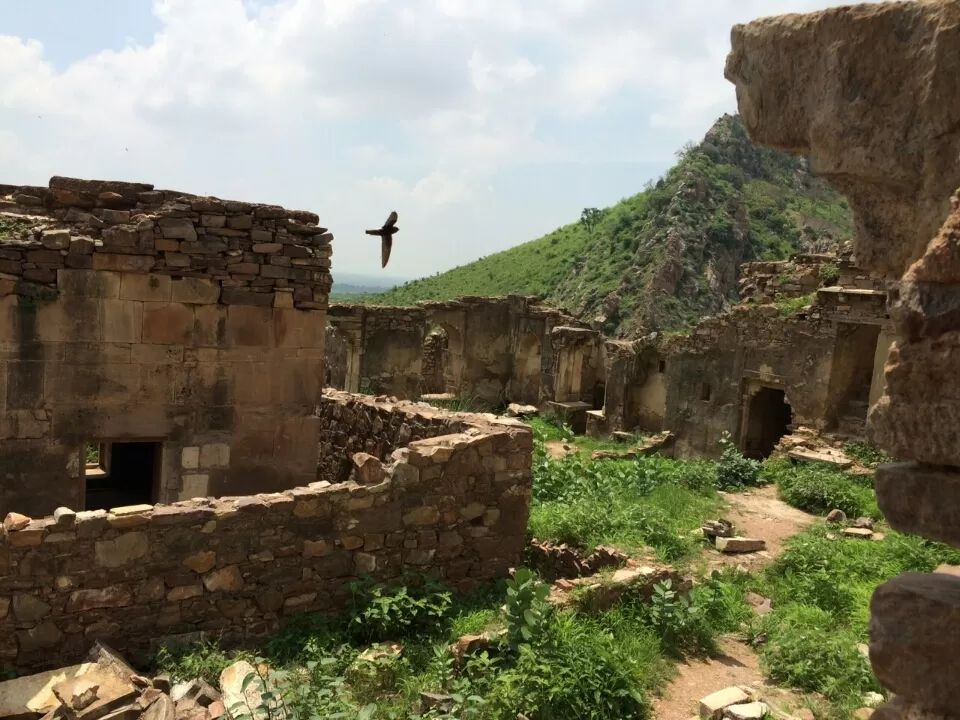 Photo of Rundh Bhangarh, Rajasthan by Pankaj Dixit