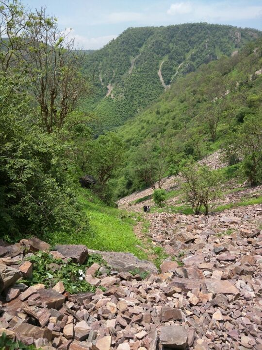 Photo of Road trip to Bhangarh Fort 15/72 by Pankaj Dixit