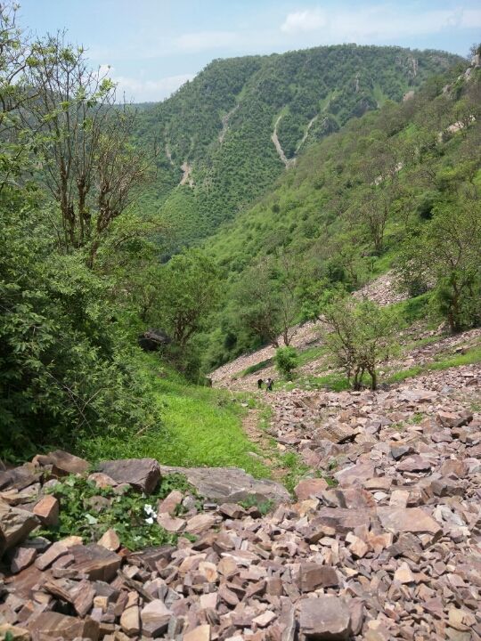 Photo of Road trip to Bhangarh Fort 16/72 by Pankaj Dixit