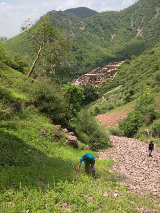Photo of Road trip to Bhangarh Fort 20/72 by Pankaj Dixit