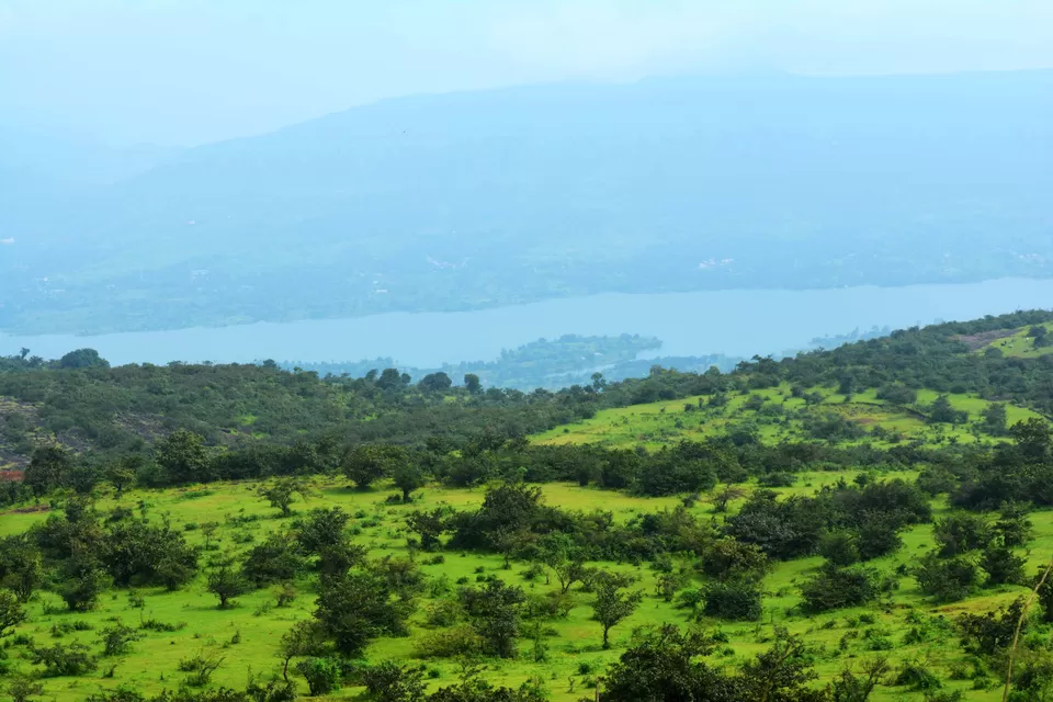 Photo of Kaas, Kas, Maharashtra, India by Traveloclue