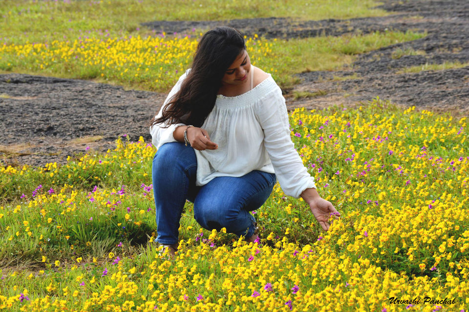 Photo of Kaas, The Enthralling floral Plateau. by Urvashi Panchal