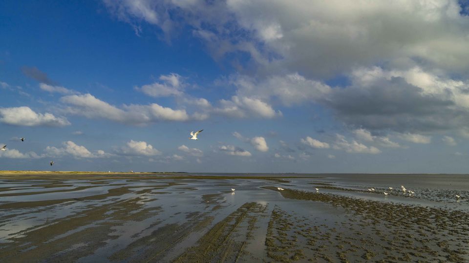 Photo of Dhanushkodi, Tamil Nadu, India by Aaditya Aakash