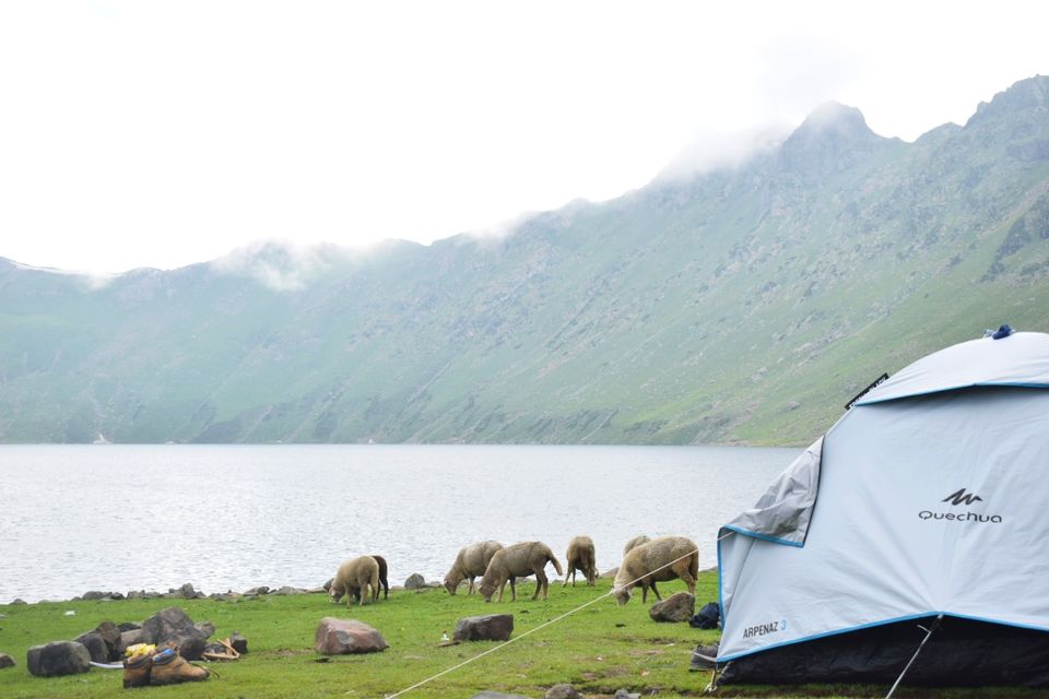 Photo of Trekking to Tarsar, Marsar lake... 4 days by Abdul Manan Pandith