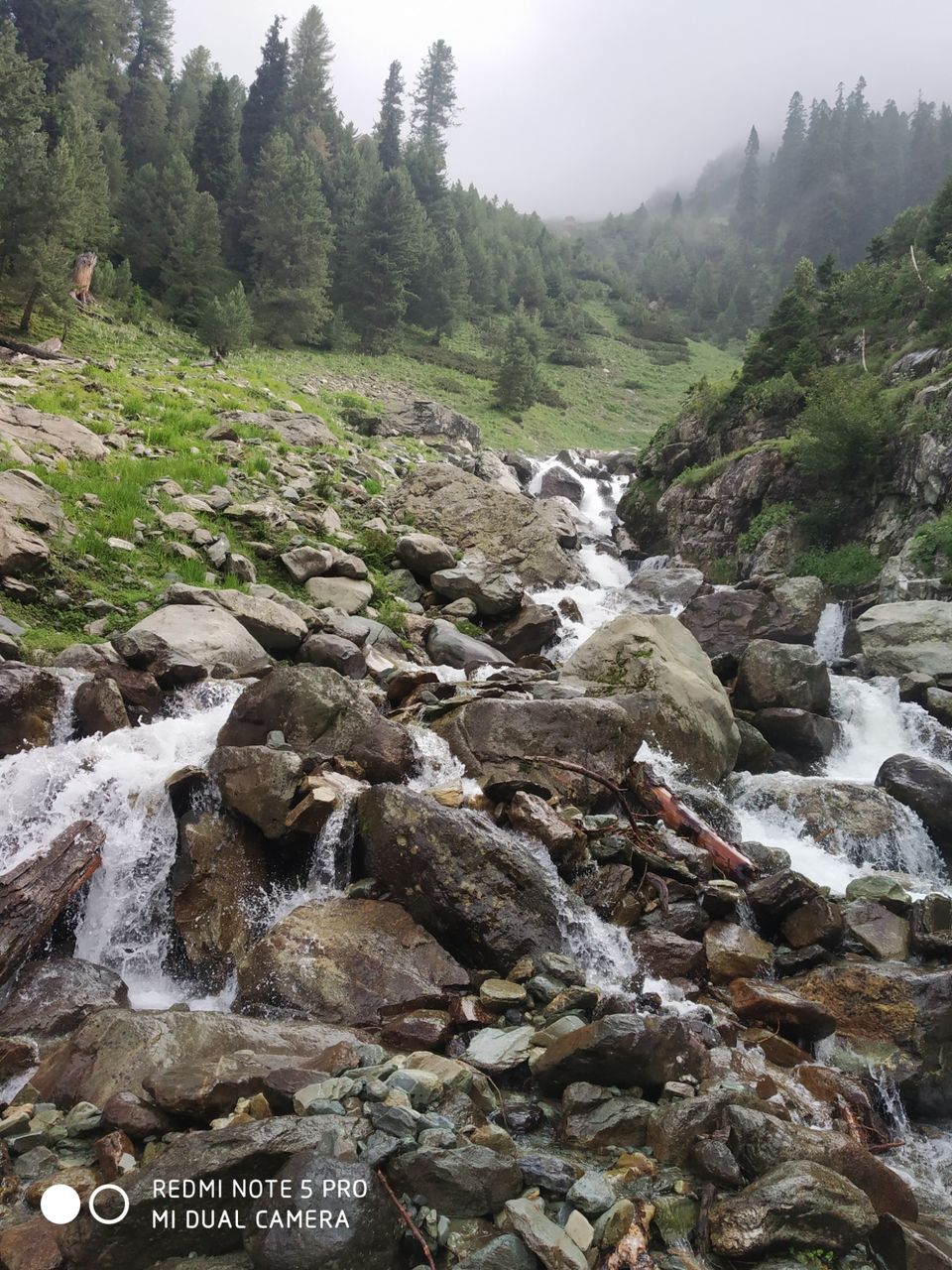 Photo of Trekking to Tarsar, Marsar lake... 4 days by Abdul Manan Pandith