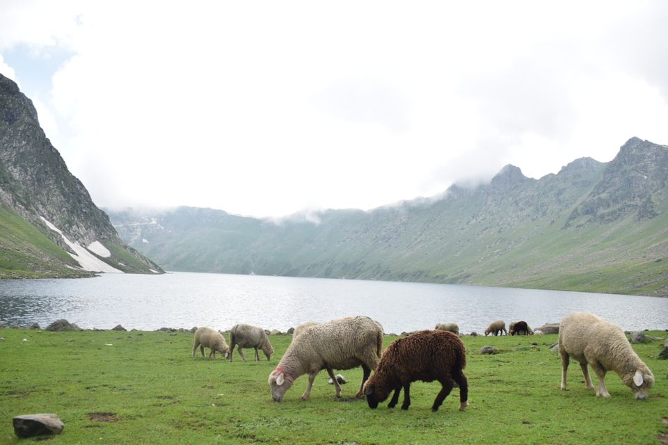 Photo of Trekking to Tarsar, Marsar lake... 4 days by Abdul Manan Pandith