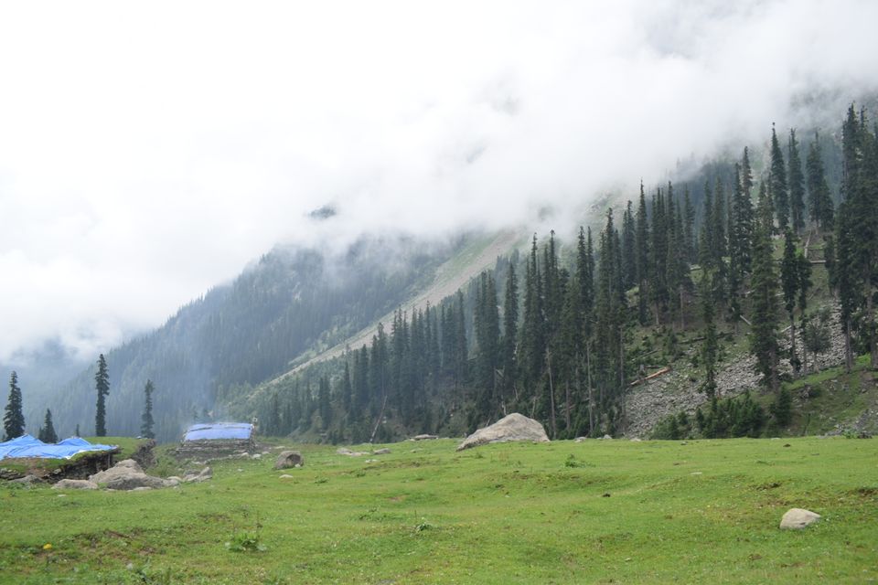 Photo of Trekking to Tarsar, Marsar lake... 4 days by Abdul Manan Pandith