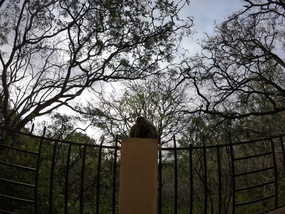 Photo of Antharagange Trekking Starting Point By GoPro Wanderer