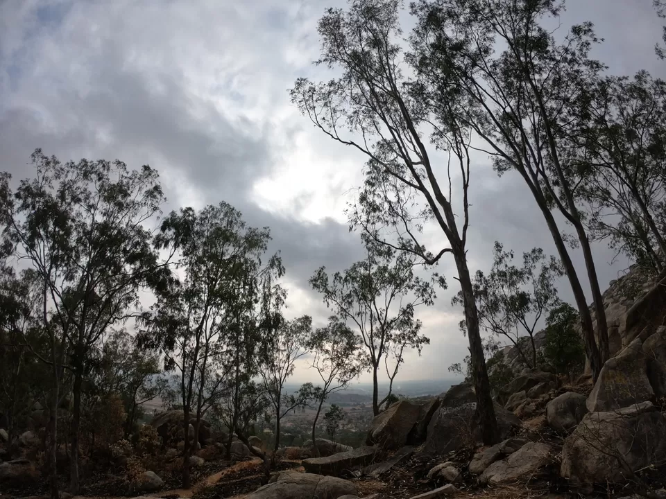 Photo of Antharagange Trekking Starting Point By GoPro Wanderer