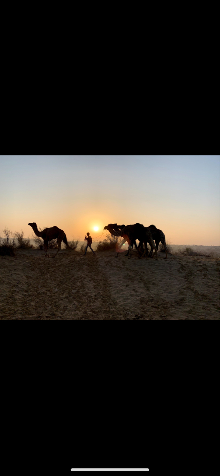 Photo of Exploring The Lesser Known Sand Dunes Of Khuri by Neha Bharti