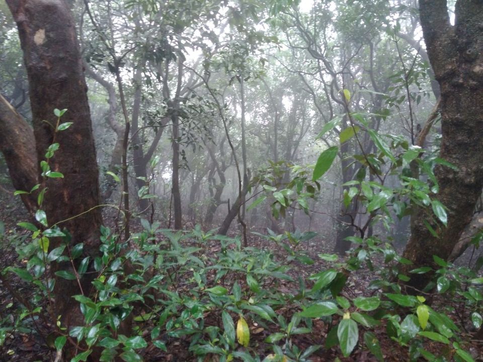 Photo of Madhavji Point, Matheran, Maharashtra, India by Debapriya Banerjee