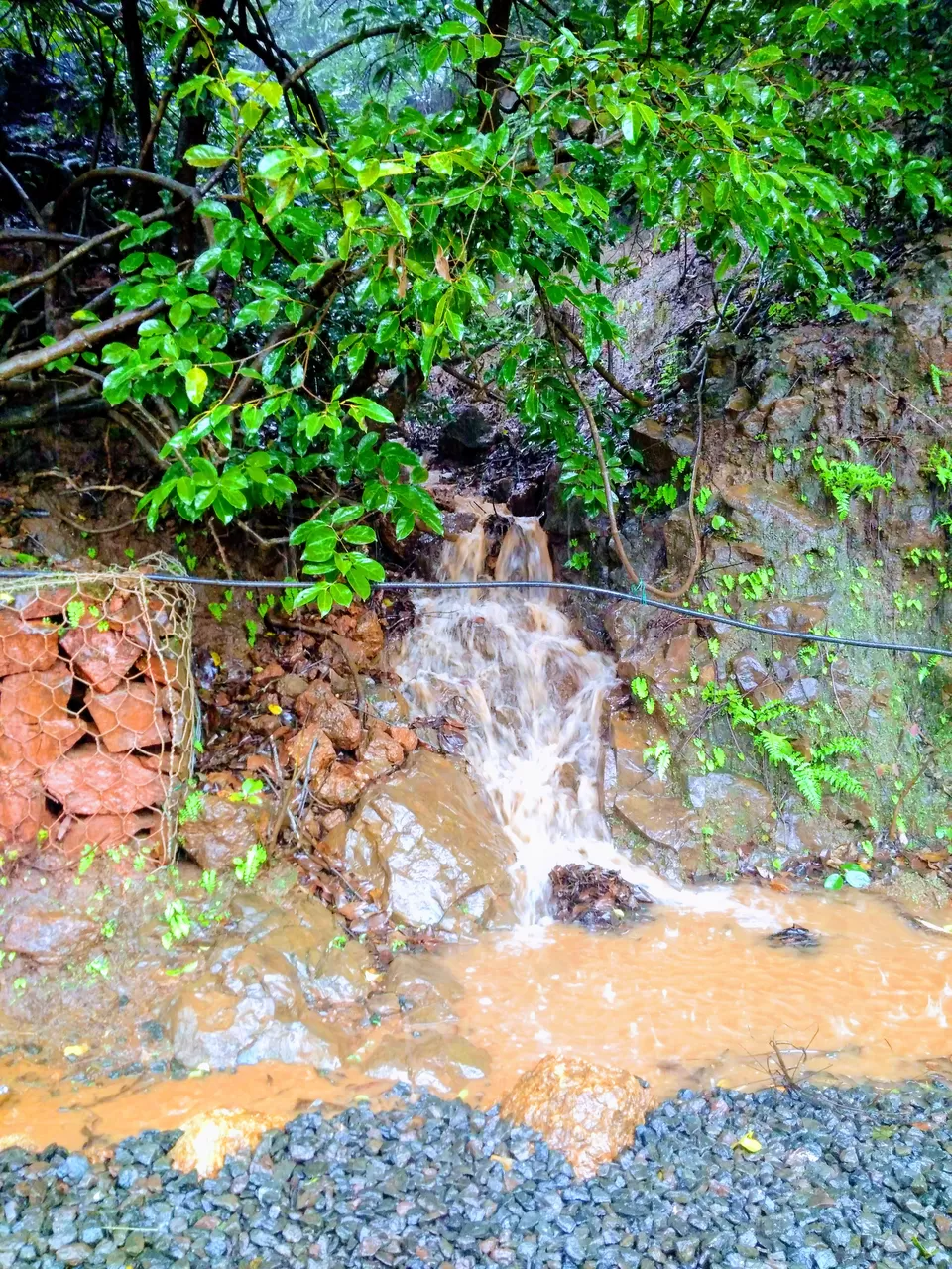 Photo of Matheran, Maharashtra, India by Debapriya Banerjee