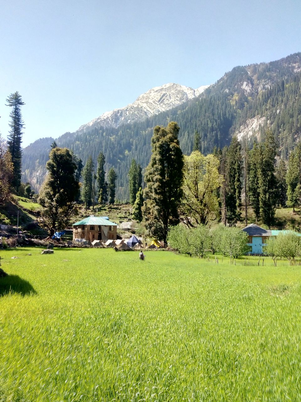 Photo of Grahan, Himachal Pradesh, Kullu, Himachal Pradesh, India by Prikshit Gupta