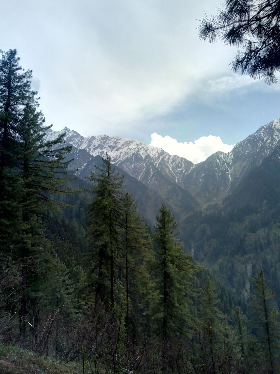 Photo of Sar Pass "The Majestic Treak of Parvati Velly" by Prikshit Gupta