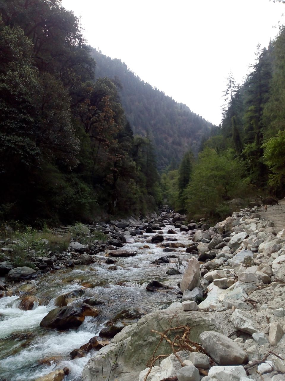 Photo of Sar Pass "The Majestic Treak of Parvati Velly" 1/1 by Prikshit Gupta