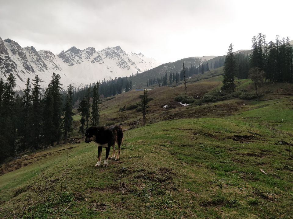 Photo of Sar Pass "The Majestic Treak of Parvati Velly" by Prikshit Gupta