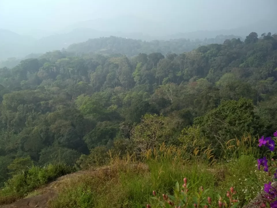 Photo of Infopark Phase 2, Kakkanad, Kerala, India by Apurva Malpure