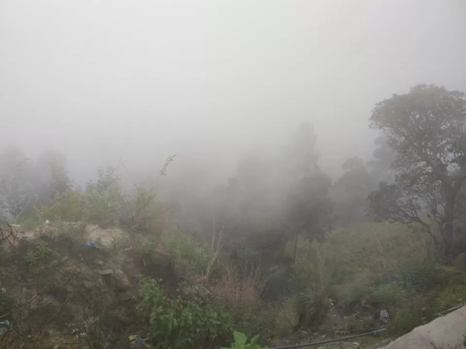 Photo of Munnar, Kerala, India by Apurva Malpure