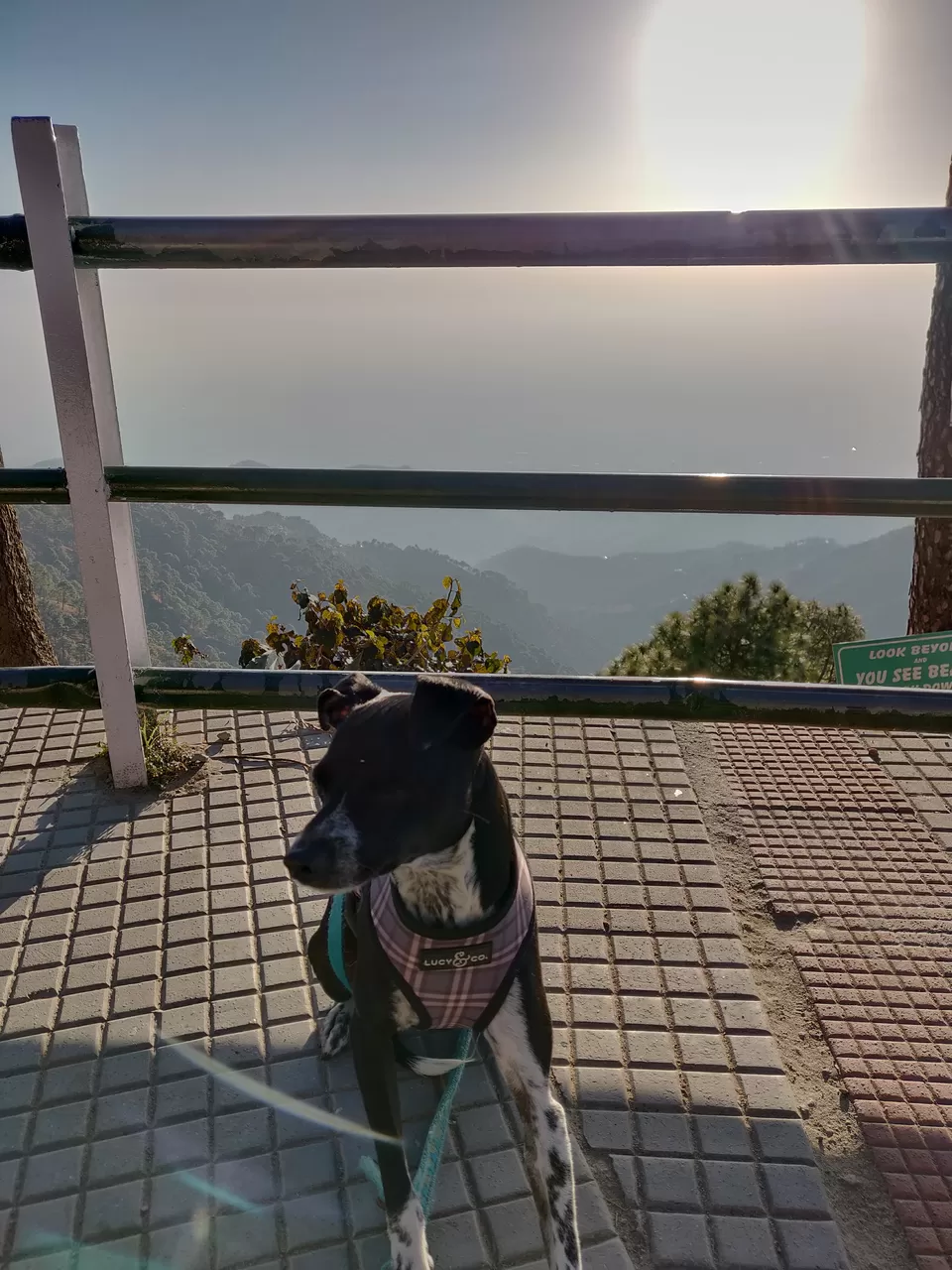 Photo of Sunset Point, Kasauli, Himachal Pradesh, India by Sukruti Gandham