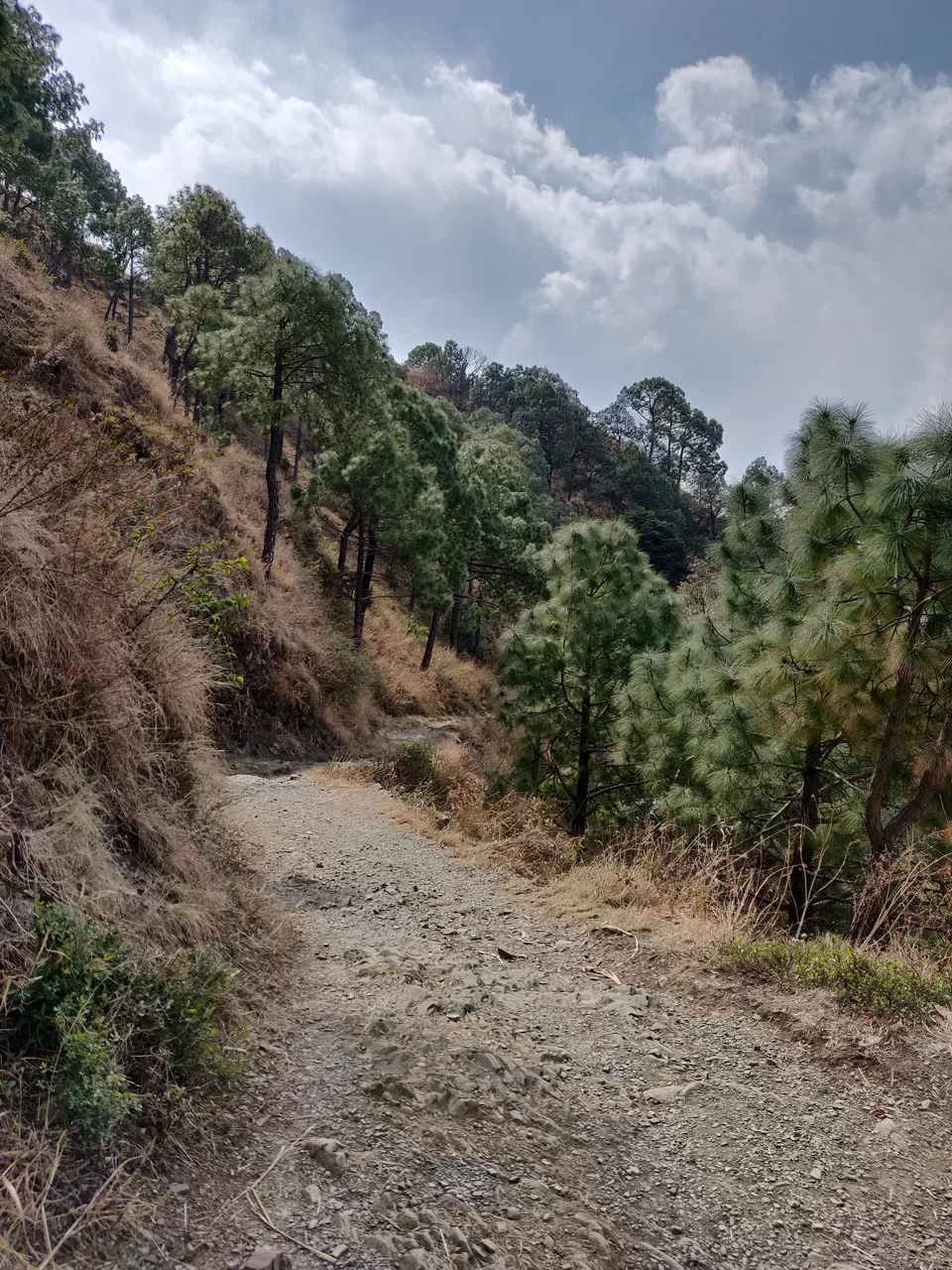 Photo of Running off to the Mountains by Sukruti Gandham