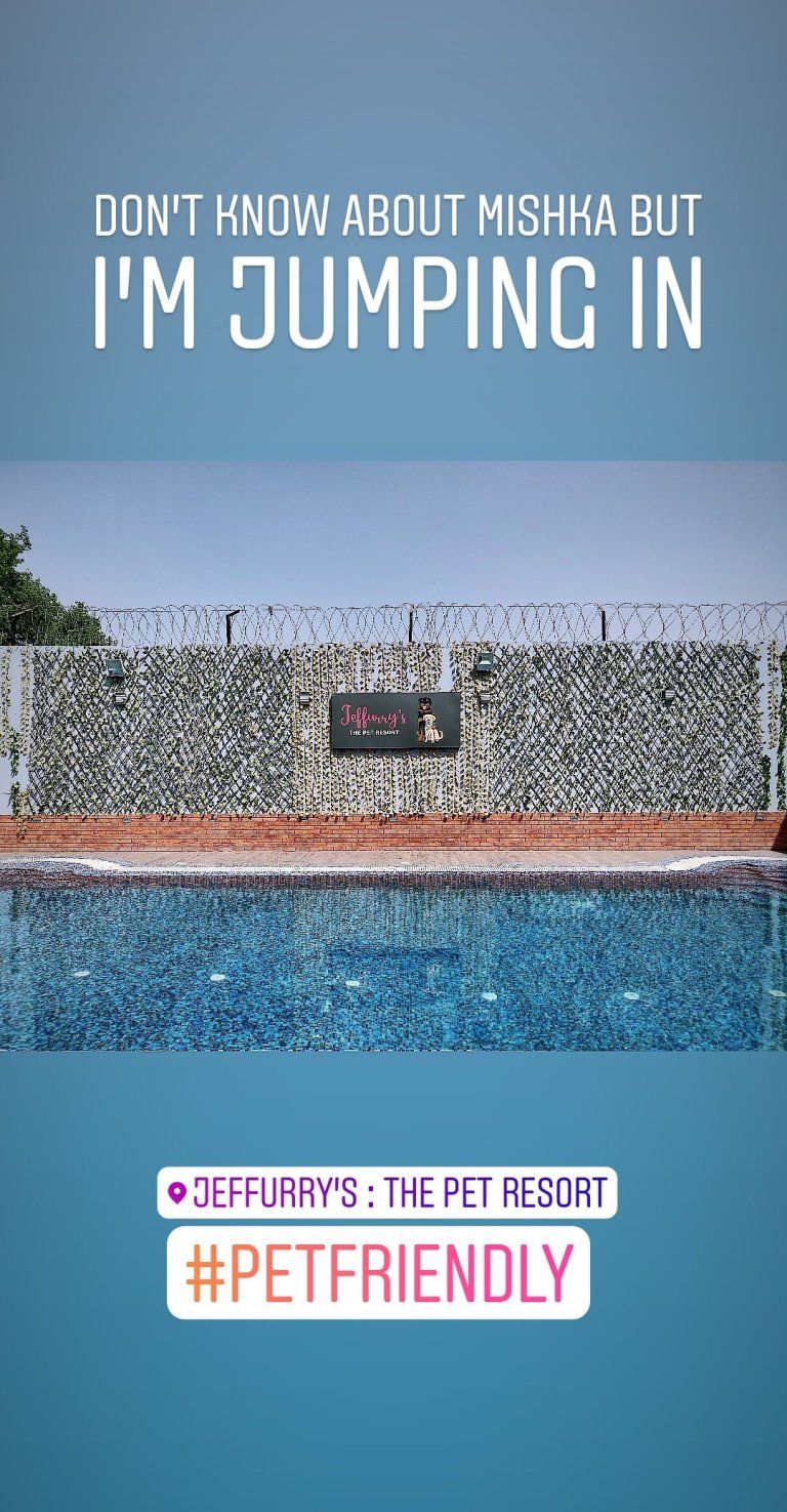 Photo of JEFFURRY'S: The Pet Resort, Rohtak Road, Block C, Tyagi Vihar, Mundka, Delhi, India by Sukruti Gandham