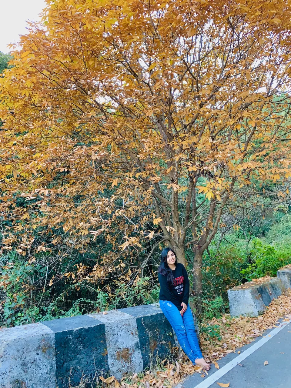 Photo of Uttarakhand, India by Meeta Shirokha