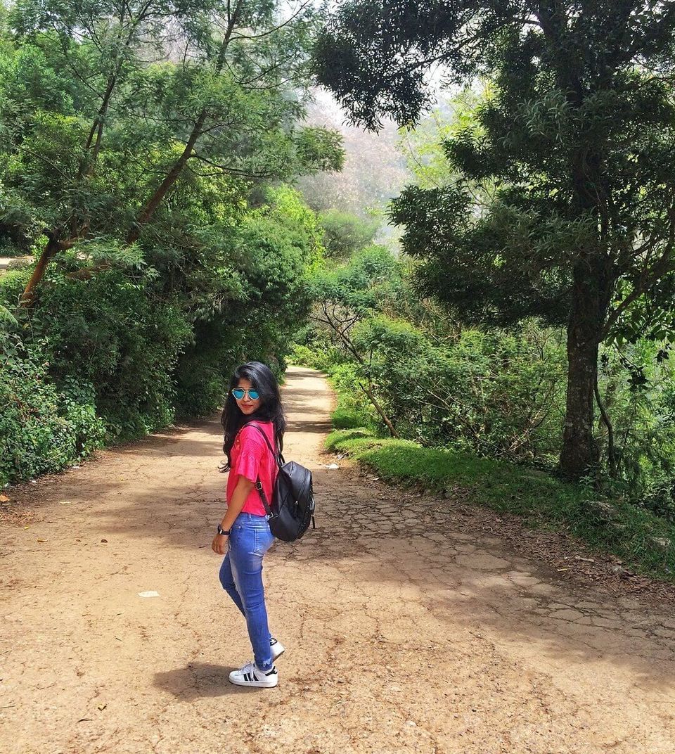 Photo of Vattakanal, Kodaikanal, Tamil Nadu, India by Bhavini Vadhel