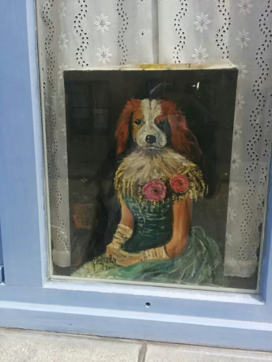 Photo of Bruges, Belgium by Angad Sobti