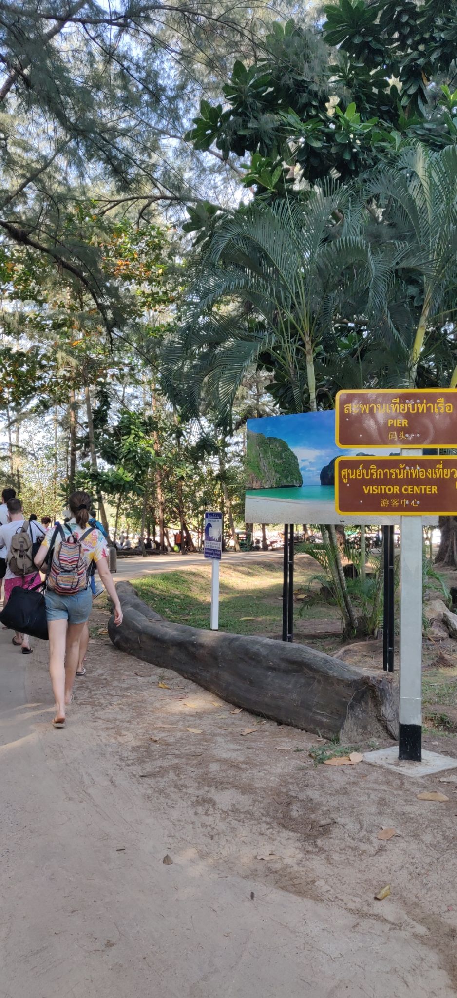 Photo of Phi Phi Islands, Krabi, Thailand by Vaibhav Sawhney