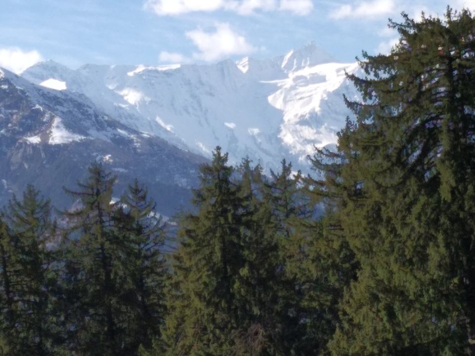 Photo of In search of SNOW by Akash Tyagi