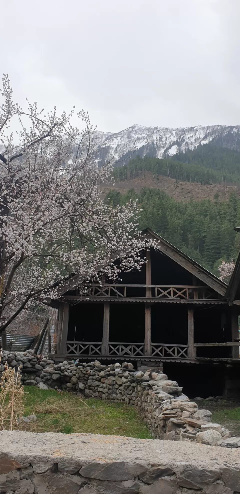 Photo of Harsil by Harshit Jindal