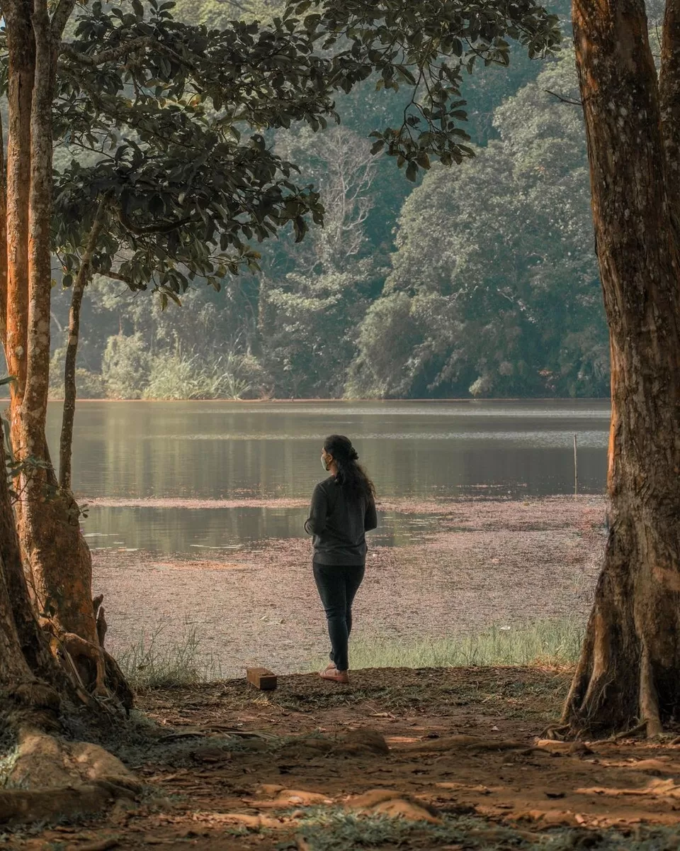 Photo of Pookode Lake by Kalliyangattu Neeli
