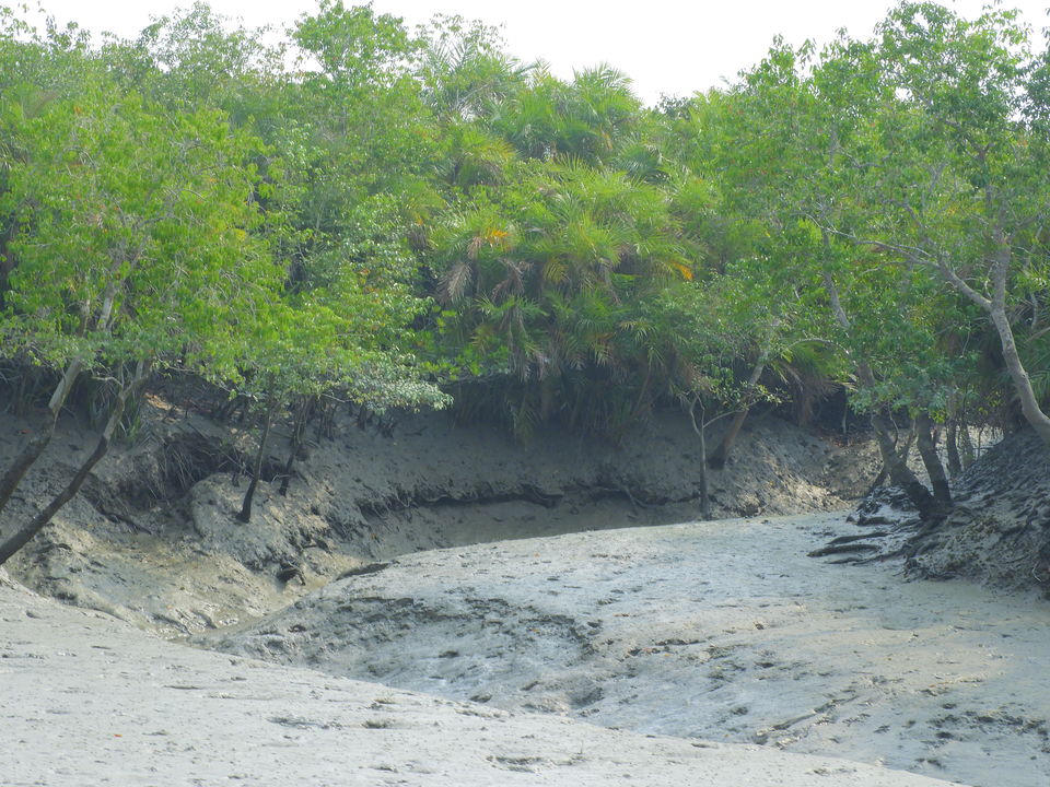 Photo of SUNDERBANS THE LAND OF MAN EATERS 13/15 by Debasree Nandi