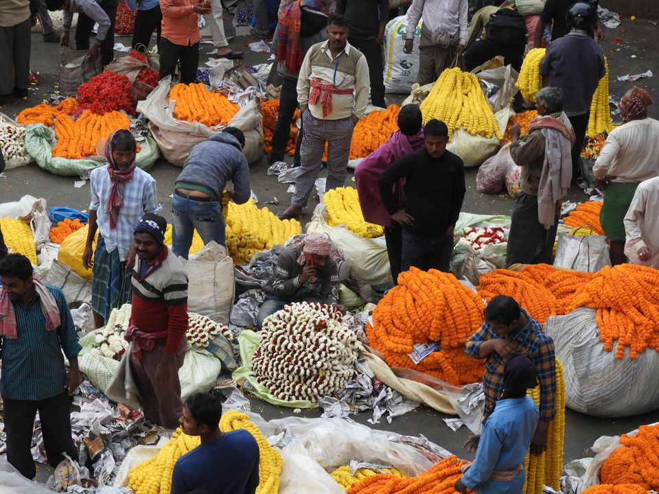 Photo of COLOURFUL KOLKATA----MULLIKGHAT FLOWER MARKET 5/7 by Debasree Nandi