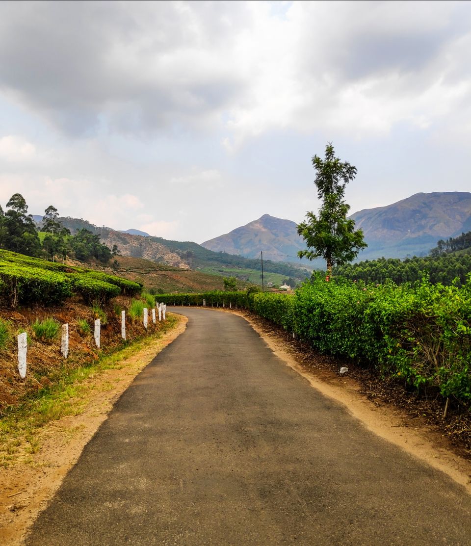 Photo of Trek to Meesapulimala: The second highest peak in South India by Shruthi Loganathan