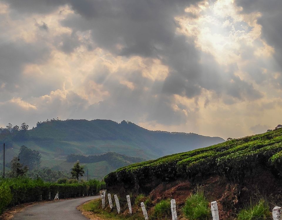 Photo of Trek to Meesapulimala: The second highest peak in South India by Shruthi Loganathan