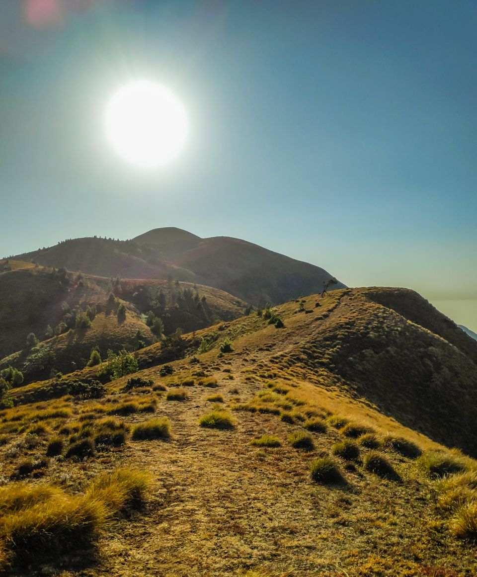 Photo of Trek to Meesapulimala: The second highest peak in South India by Shruthi Loganathan