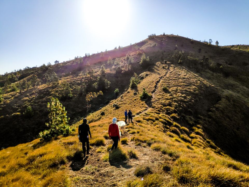 Photo of Trek to Meesapulimala: The second highest peak in South India by Shruthi Loganathan
