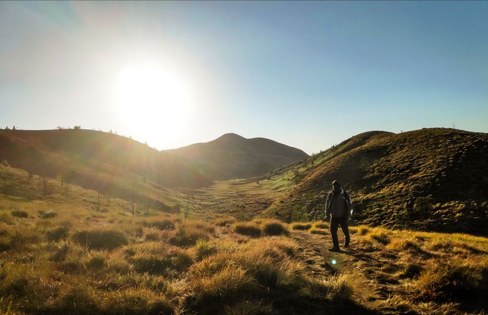 Photo of Trek to Meesapulimala: The second highest peak in South India by Shruthi Loganathan